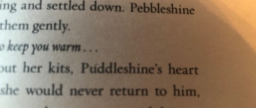 Ah Yes, It Was Very Sad When Puddleshine Couldnt Be With His Mate Hawkwing And The Two Kits That He Birthed