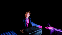 Fantasticbeastsdailly:  “It Was Opened?” “Just A Smidge” 