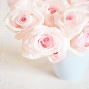 kiiseu:  Pastel pink flowers | 1 2 3 4 5 6 7 8 9 