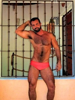 bearformuscle