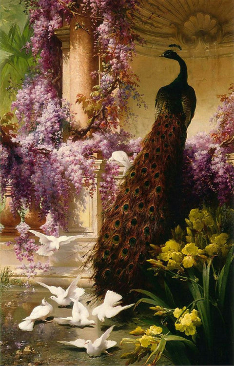 andantegrazioso:A Peacock and Doves in a Garden - 1888 | EugeneBidau