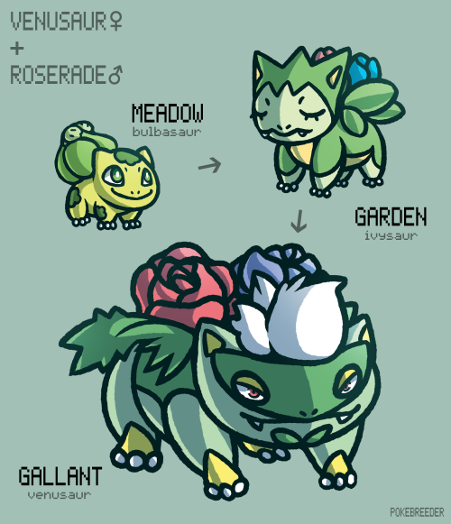 Meadow Bulbasaur are friendly Pokémon that are found in unpolluted areas, and will bond with trainer