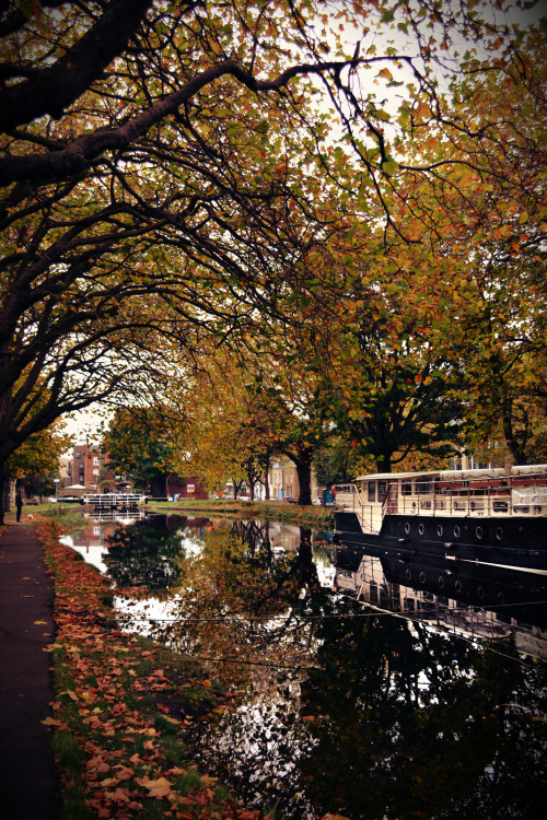 sean-o-neill-photography: The Grand Canal, Dublin