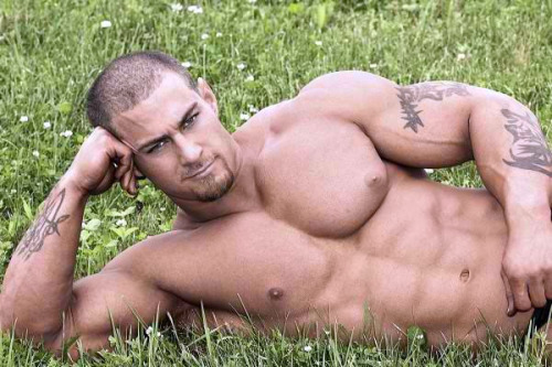 firtar:Stud