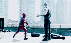 the-regeneratin-degenerate:deadpoolsquinn:the-regeneratin-degenerate:matthewmurdockks:All the Dinosa