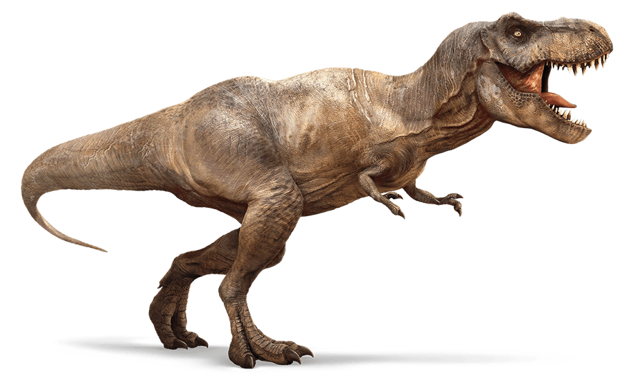 Tyrannosaurus rex, Wikia Jurassic Park