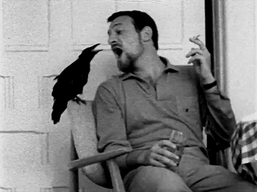 Christopher Plummer chilling with a crow (1962) (x)