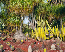 Phil UnderdownBotanic Gardens, 1989 - 2009