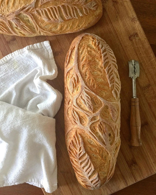 itscolossal:Twisting Vines and Leafy Botanics Carved into Crusty Breads by Blondie + Rye