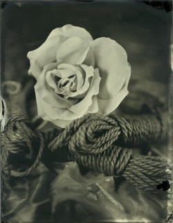 brookelabrie:  jute and smycka   soon for sale at wetplatewares