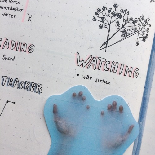 BEST OF BUJO