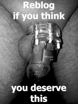 subliminalbacklash:  sissycuckcumdump:  dick-grader:  You know who you are be honest guys !  Fuck yeah I do  I just got my first chastity device today and put it on for the first time, and it’s beyond delightful! 