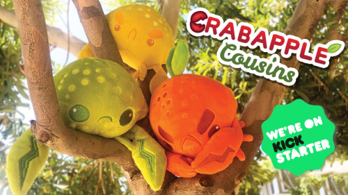 inki-drop:  inki-drop:  “Hi… Eh. Meh!” Such is the traditional greeting of the Crabapple family.  I’m keeping this project super streamlined–the goal amount is for the plush, digital wallpaper downloads and an after-campaign postcard. If we