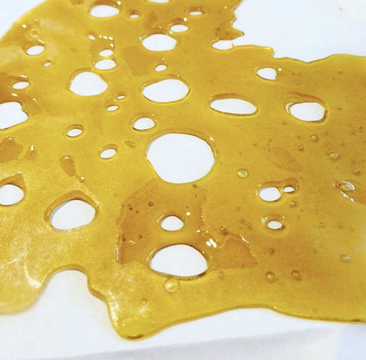 mi-det-concentrates:  Honeycomb to the fullest… Girl Scout cookie 💛