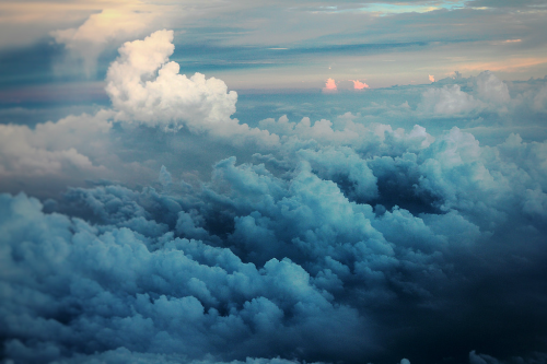 expressions-of-nature:  by Will Tee Yang