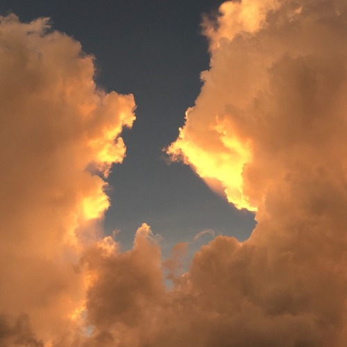 fhlowerz:excepti-n:the sky was extra heavenly yesterday / ig: okkendra