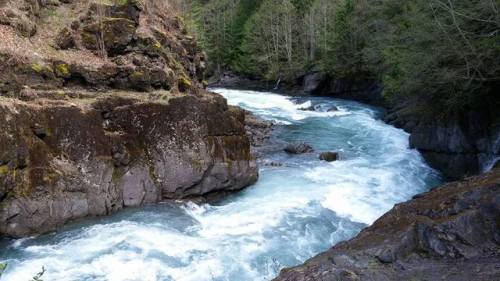 dollar-bin-jazz:Geology fun day on the Olympic Peninsula.