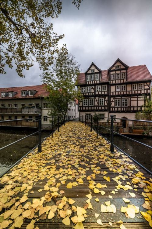 End of autumn, Erfurt / Germany (by Helmut Hess).