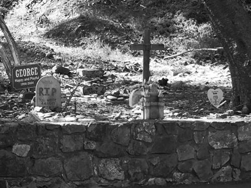 Catalina&rsquo;s pet cemetery, just a little creepy #peachez #catalina