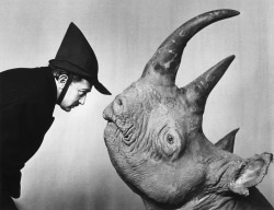 visualobscurity:  Salvador Dali and rhinoceros. 