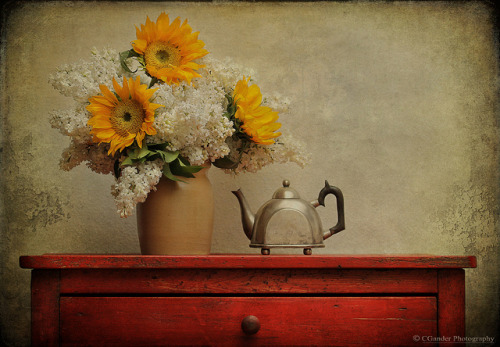 Tea Time Bouquet by Photo-tistic on Flickr.