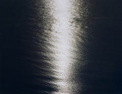 lonelotus:likeafieldmouse:  Nicholas Hughes