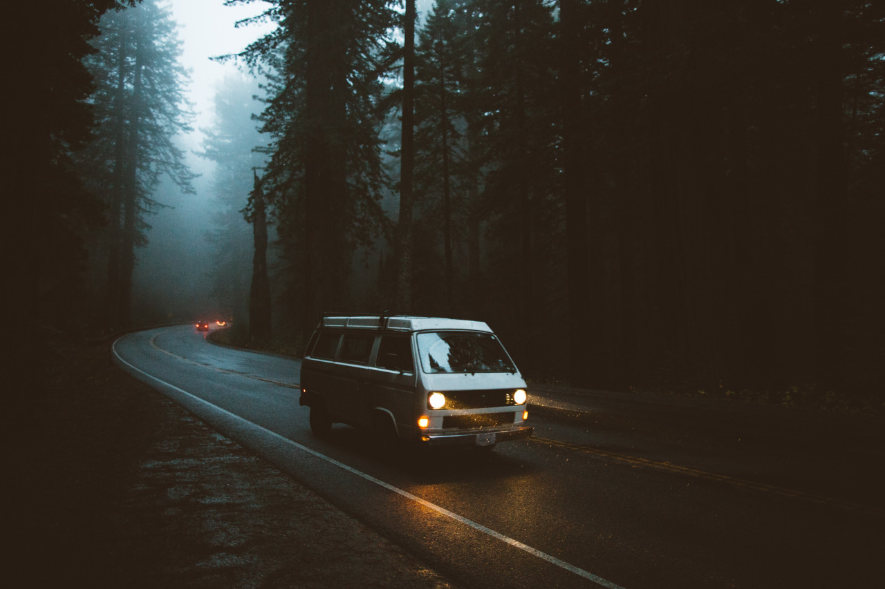 samelkinsphoto:  roadtrip time