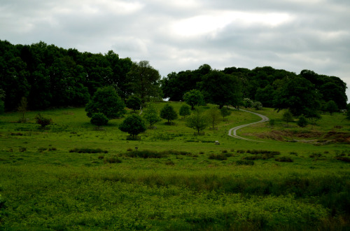 love-adventure-explore: Bradgate Park, approx 2016.