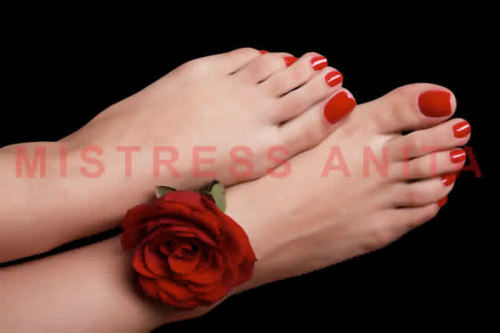 XXX Mistress Anita’s feet photo