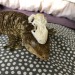 mother-entropy:submalevolentgrace:kaijutegu:Ever wonder what goes on inside the world’s