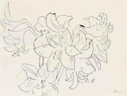 tremendousandsonorouswords:  Henri Matisse,   Dessin à la plume (Fleur de lys), 1941 