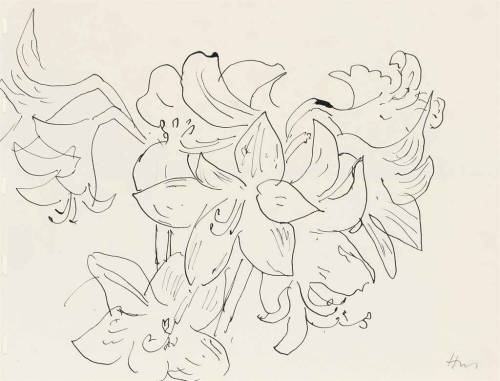 tremendousandsonorouswords:Henri Matisse, Dessin à la plume (Fleur de lys), 1941