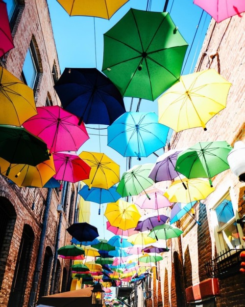 You can stand under my umbrella ☂ #redlands #umbrella #umbrellastreet #wander #wanderlust #colorfull