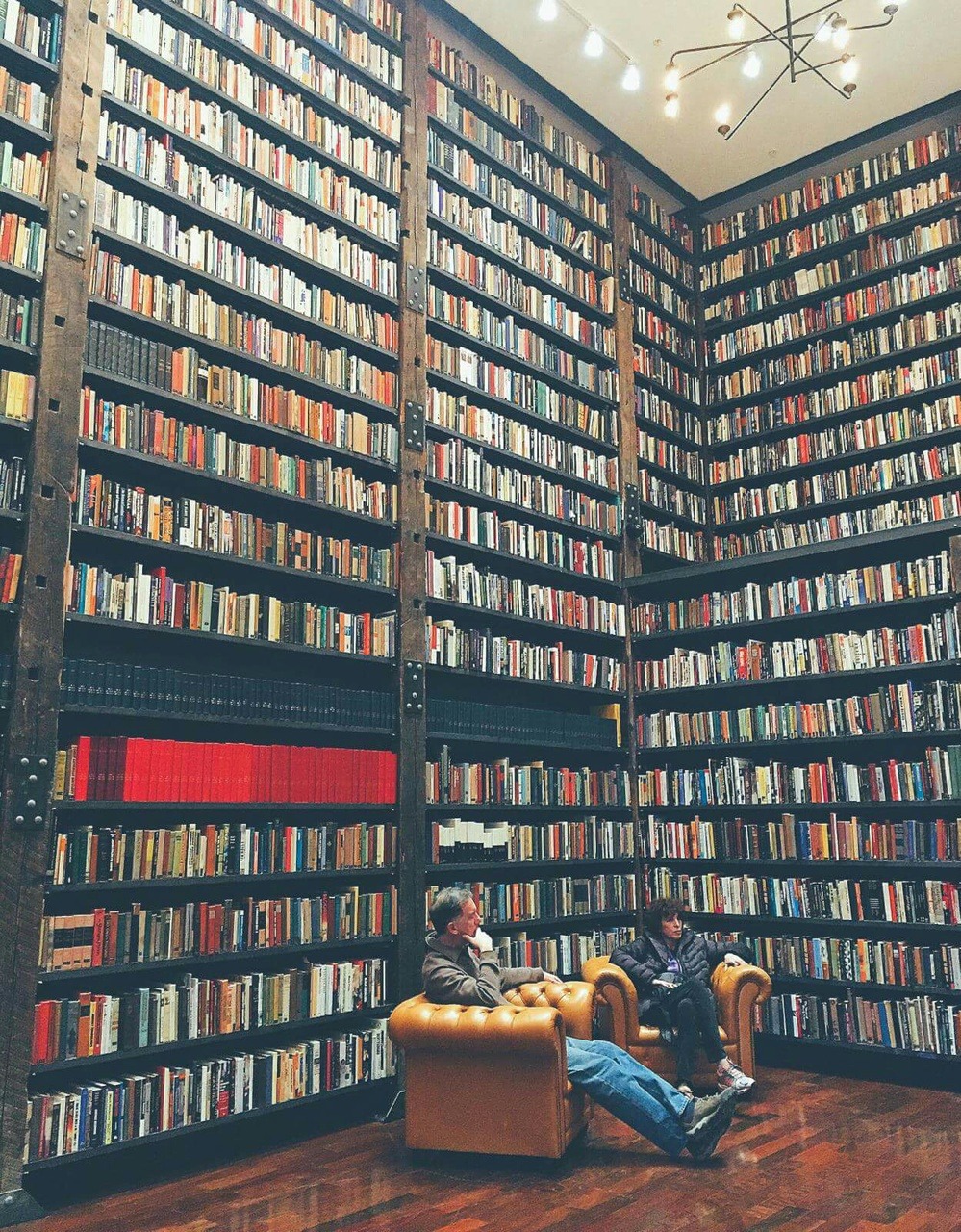 The Bookshelf at the End