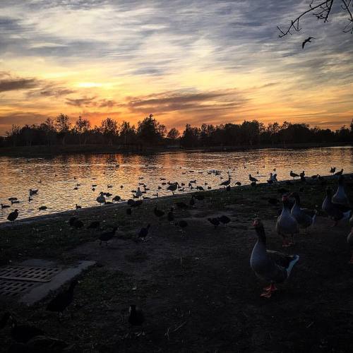 Sunset at the Lake