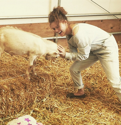 Maxcarver:Happy Easter!