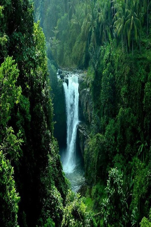 wolverxne:  Tegenungan Waterfall, Bali by: Made Gunadhi  Jungle/tropical blog