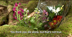  This is from a documentary about Aokigahara,