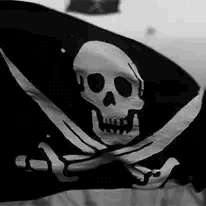 Tha Pirate Stimboard For The Crew