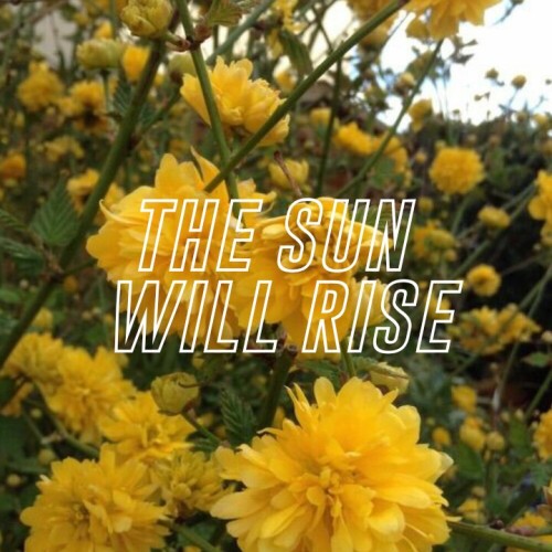// Truce //