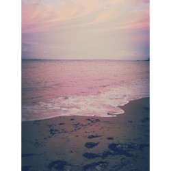 mr-ny:  here’s a photo of the beach, filter only enhanced the pink it was so soft grunge