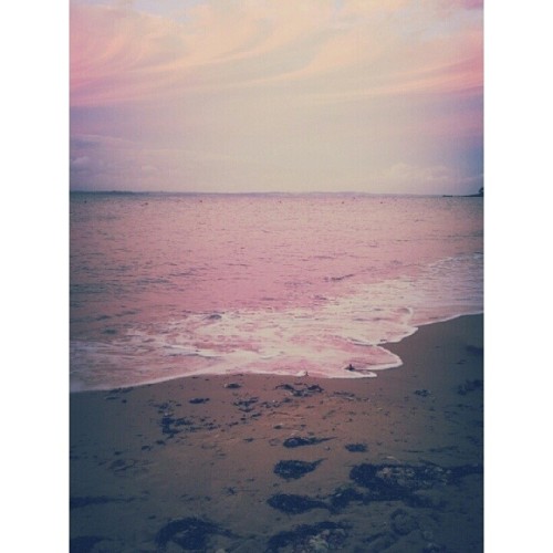 XXX mr-ny:  here’s a photo of the beach, filter photo