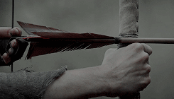 Ya Lit Meme: A Court Of Thorns And Roses By Sarah J. Maas