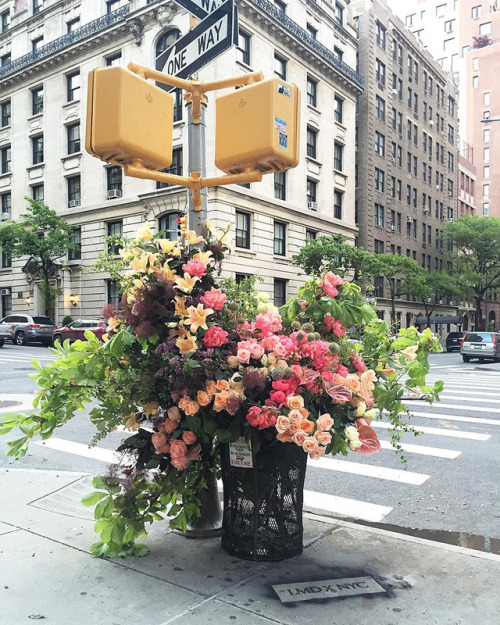 escapekit:  Bin Bouquets Floral designer Lewis Miller turns empty garbage cans in New York into volu