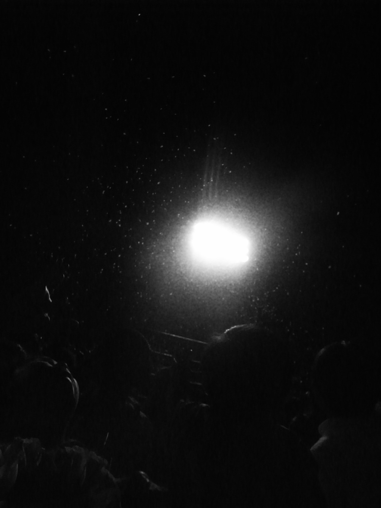 stripetee:  old b&amp;w photo dump