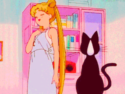 sailormoonfavorites: Rabbit, rabbit, what are you looking at when you hop… 