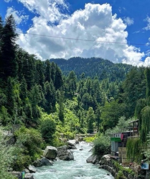 Himachal Dairies, February-March.