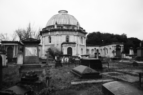 spookyloop:withinthe-silence:Brompton CemeteryI miss walking through this every day. It was such a r
