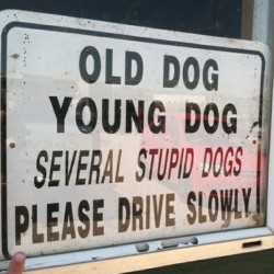 The canine crew appreciates your caution