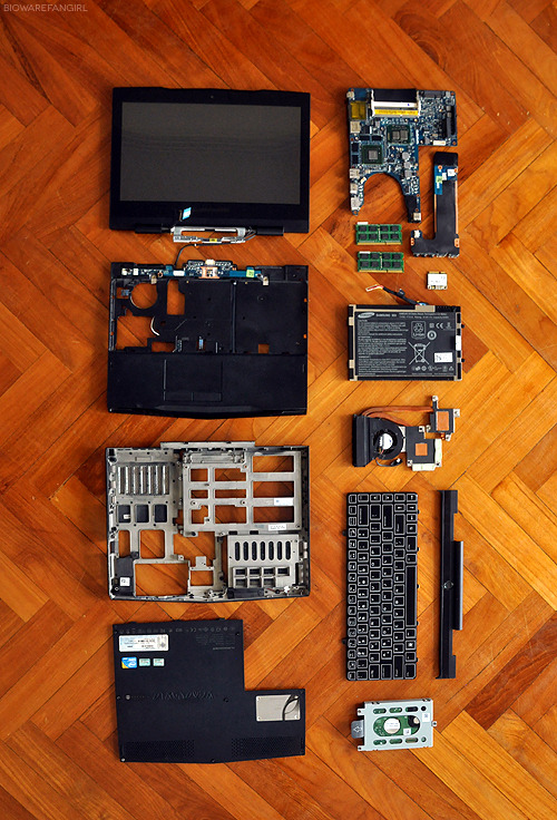 Alienware M11x R2 disassembled. 